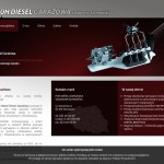 P.U.H. Diesel Garażowa Sławomir Szymański  polnische Firma
