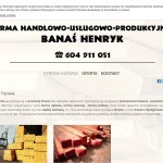 Firma Handlowo-Usługowo-Produkcyjna Banaś Henryk  polnische Firma