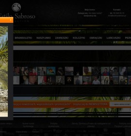 Estilosabroso.pl – Herrenhalsketten polnischer Online-Shop