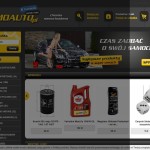 Kfz-Chemikalien. Zubehör. Die Zugänge zu einer zufriedenstellenden Aussehen Ihres Autos zu erhalten. polnischer Online-Shop