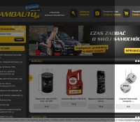 Kfz-Chemikalien. Zubehör. Die Zugänge zu einer zufriedenstellenden Aussehen Ihres Autos zu erhalten. polnischer Online-Shop