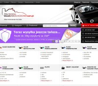 Olejesamochodowe.com.pl polnischer Online-Shop