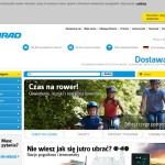 Elektronik-Shop polnischer Online-Shop