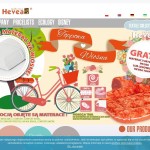 Hevea Matratzen polnischer Online-Shop