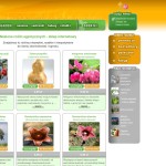 Online Shop mit Samen Drosera.pl polnischer Online-Shop