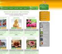 Online Shop mit Samen Drosera.pl polnischer Online-Shop
