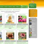 Online Shop mit Samen Drosera.pl polnischer Online-Shop