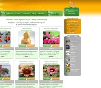 Online Shop mit Samen Drosera.pl polnischer Online-Shop