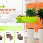 Große Auswahl an Blumen Dutch polnischer Online-Shop