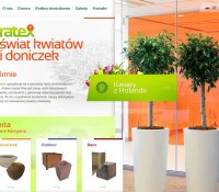 Große Auswahl an Blumen Dutch polnischer Online-Shop