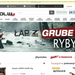 Bolw.pl – Rollen polnischer Online-Shop